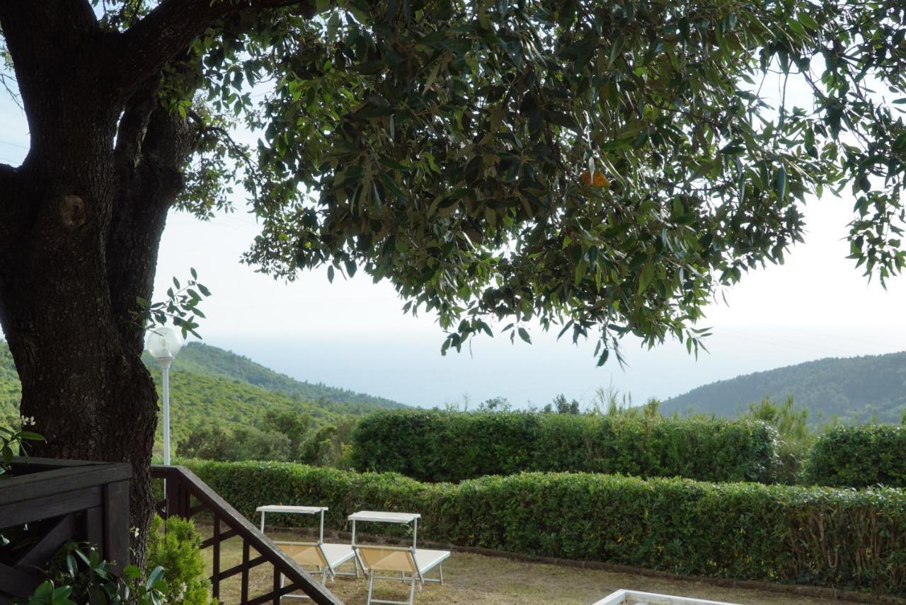 B&B Il Piccolo Paradiso Montenero  Exteriör bild